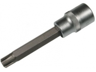 M2981 - Socket RIBE M6 x 100 mm 1/2"